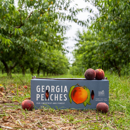 Pearson Farm Peach Crate Tee - Cream