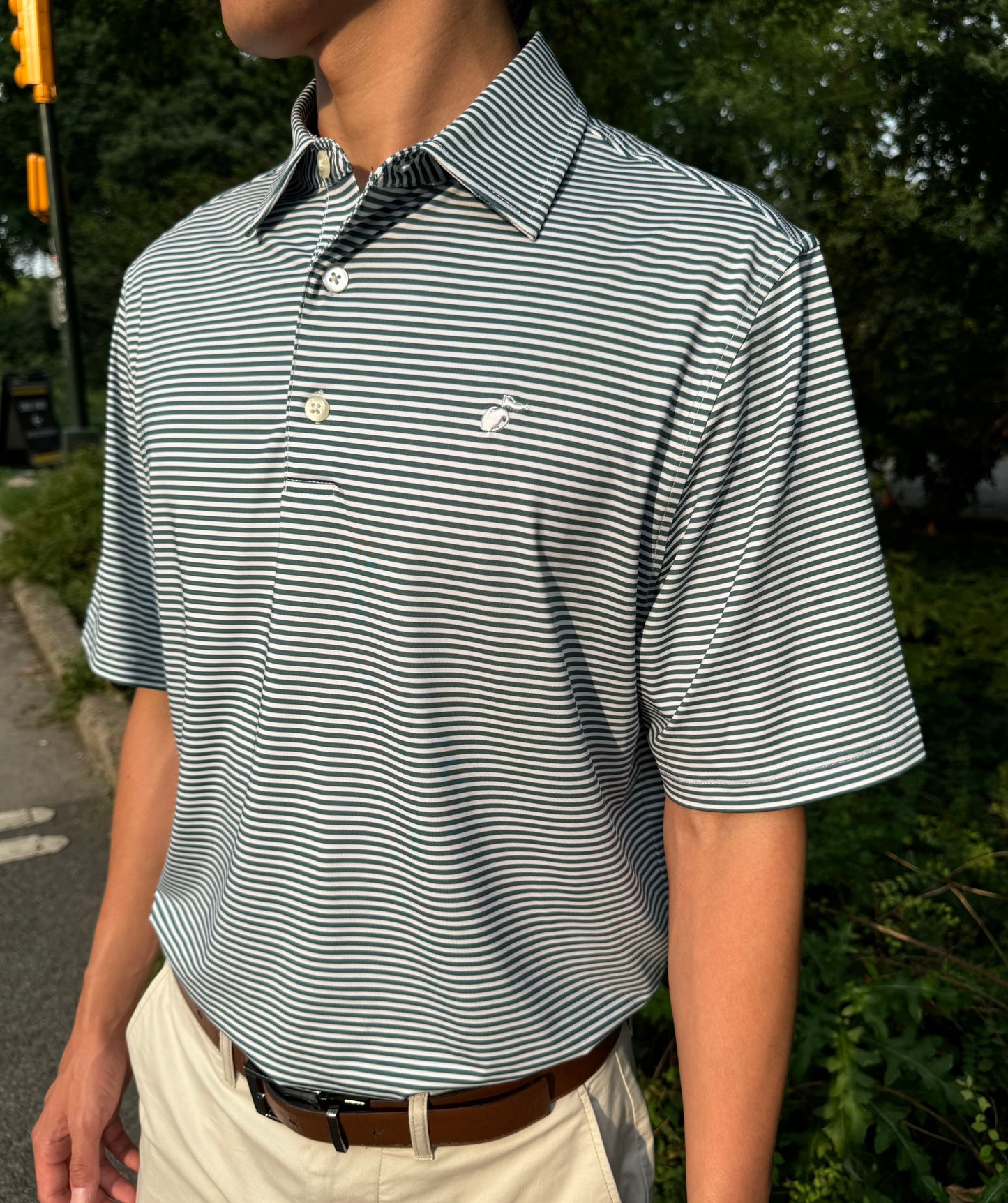 Striped Polo - Green